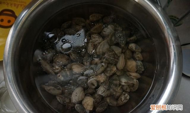 海鲜花甲怎么很快出沙子,海鲜花甲怎么去除泥沙