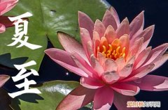 2023年夏至是几月几号几时