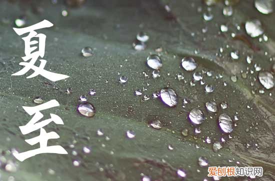 2023年几月几日夏至