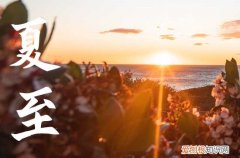 2023年夏至是哪天