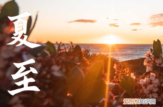 2023年夏至是哪天