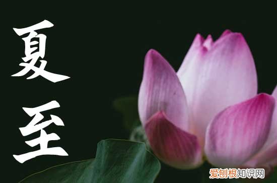 今年夏至是哪一天2023年的