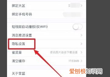 掌上英雄联盟怎么设置隐私，掌上英雄联盟怎么隐身在线