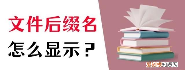 怎么显示文件后缀名格式