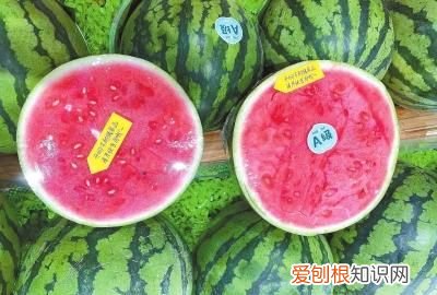 夏季吃瓜指南请查收