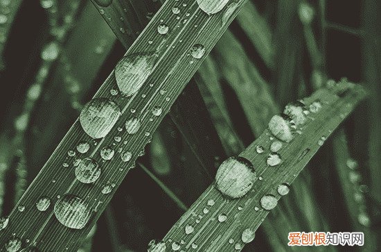 今年黄梅天什么时候开始2023