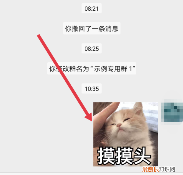 微信拍一拍怎么用，微信拍一拍表情包怎么用