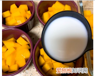 夏日甜品简单制作无需烤箱,超简单的懒人甜品夏天美食