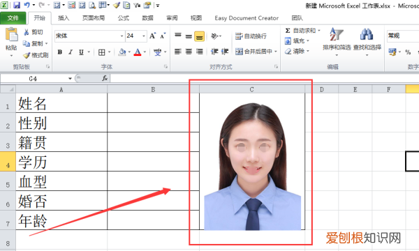excel单元格里怎么插入