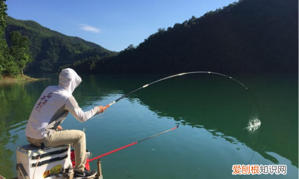 螺蛳可以钓鱼，螺蛳肉钓鲶鱼效果怎么样
