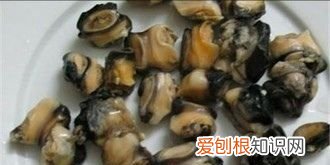 螺蛳可以钓鱼，螺蛳肉钓鲶鱼效果怎么样