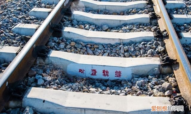 为什么高铁不停普通火车停运 高铁火车夜间为什么停运