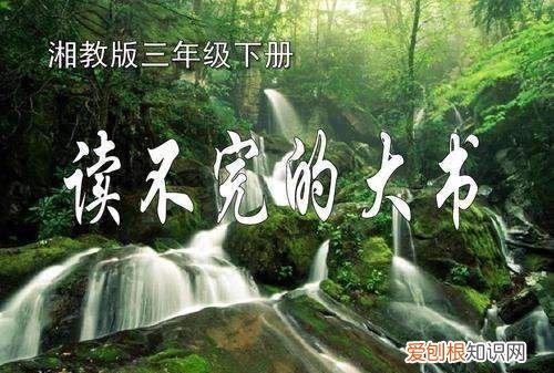读不完的大书表达了什么情感