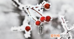 冬至来年节是什么意思，冬天进补春天打虎是什么意思