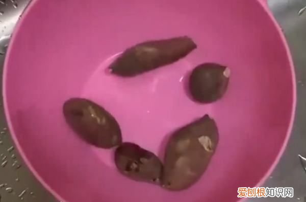 冬天红薯冻了还能吃