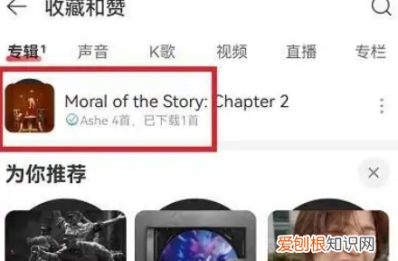 收藏的网易云专辑在哪查看，网易云官方动态歌单在哪里打开