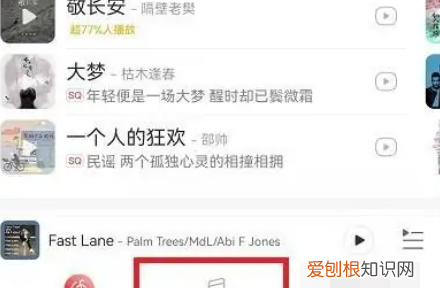 收藏的网易云专辑在哪查看，网易云官方动态歌单在哪里打开