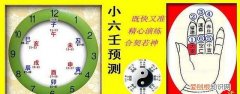 预测世界杯比赛结果而闻名的动物