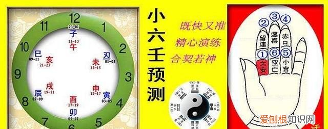 预测世界杯比赛结果而闻名的动物