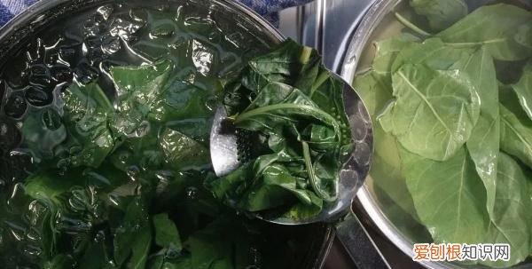 这菜不起眼却是养肝明目的高手
