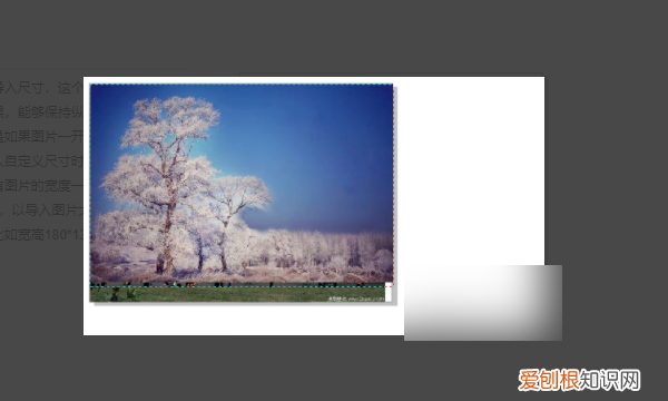 cdr该怎么样才能更改尺寸