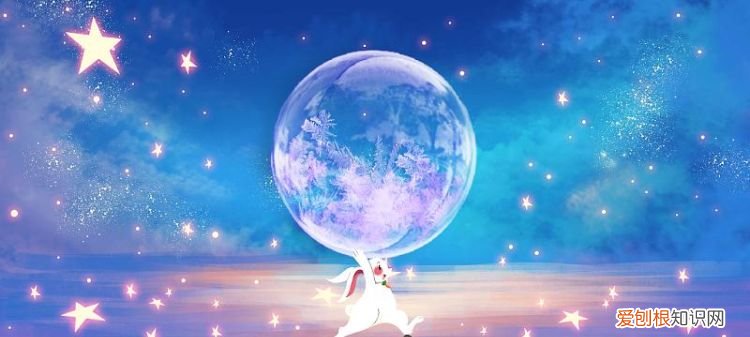 最多星星的兔子代表什么，你是我的荣耀杨洋为什么会喜欢乔晶晶