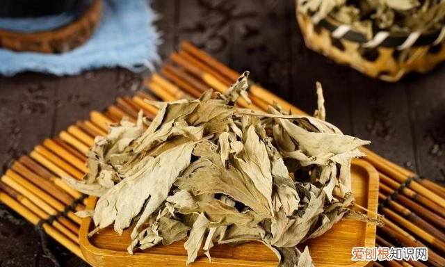 熏艾草防蚊的方法,艾草驱蚊的正确方法