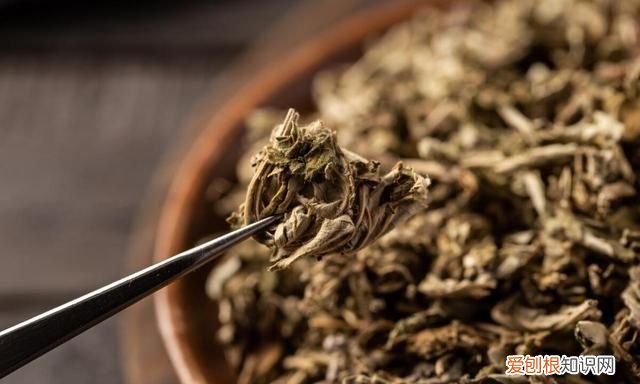 熏艾草防蚊的方法,艾草驱蚊的正确方法