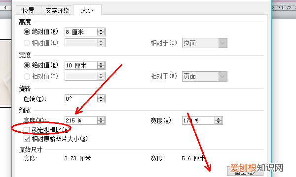 word自动适应表格大小怎么弄