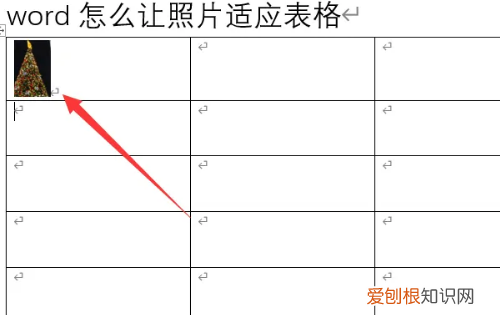 word自动适应表格大小怎么弄