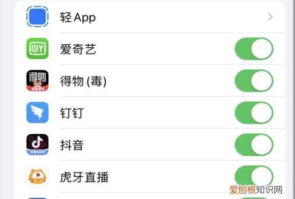 苹果手机隐私相机是空，苹果隐私相机权限显示空白