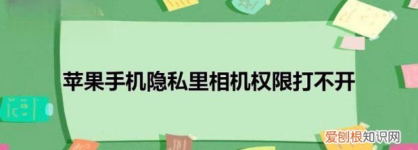 苹果手机隐私相机是空，苹果隐私相机权限显示空白