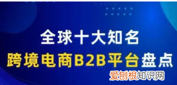 跨境电商有哪些平台