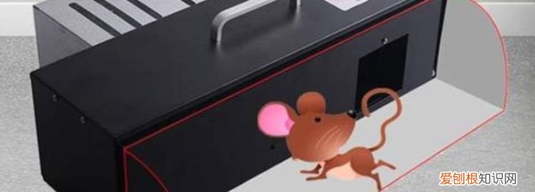 中华bjyc ，中华不振百科？