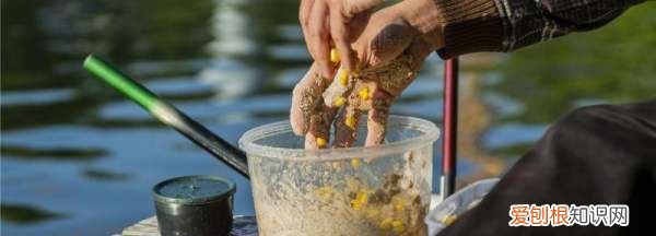 丁香酒钓什么鱼,一斤白酒泡多少丁香钓鲫鱼合适
