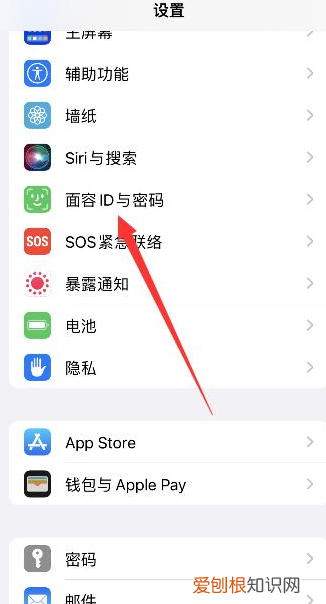 面容id突然无法使用