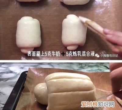 牛奶哈斯是什么意思