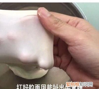 牛奶哈斯是什么意思