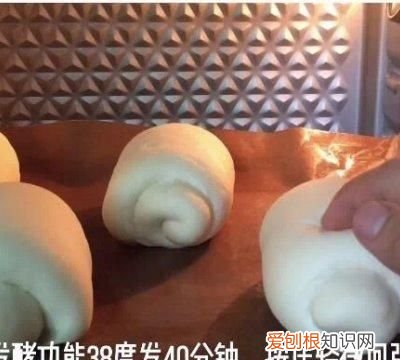 牛奶哈斯是什么意思