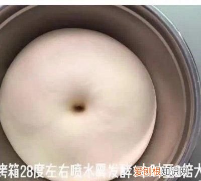 牛奶哈斯是什么意思