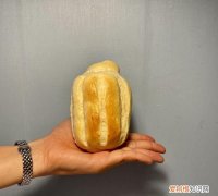 牛奶哈斯是什么意思