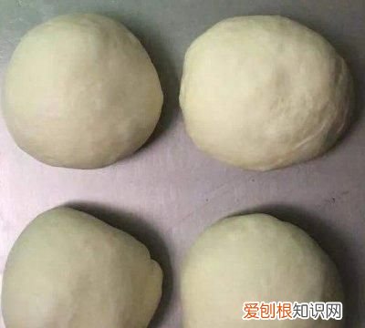 牛奶哈斯是什么意思