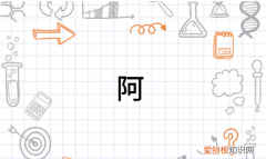 东阿县在哪里，东阿是山东哪个市的