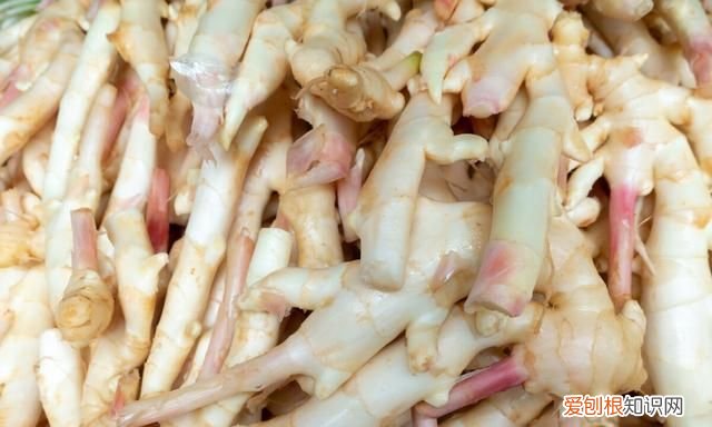 夏天吃姜是老姜好还是新姜好