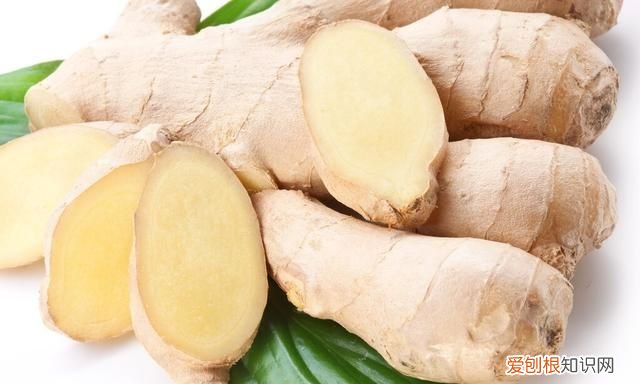 夏天吃姜是老姜好还是新姜好