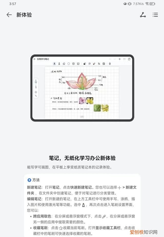 HarmonyOS平板是什么型号