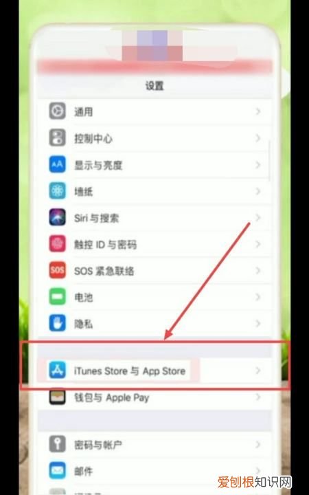 苹果手机appstop怎么设置中文
