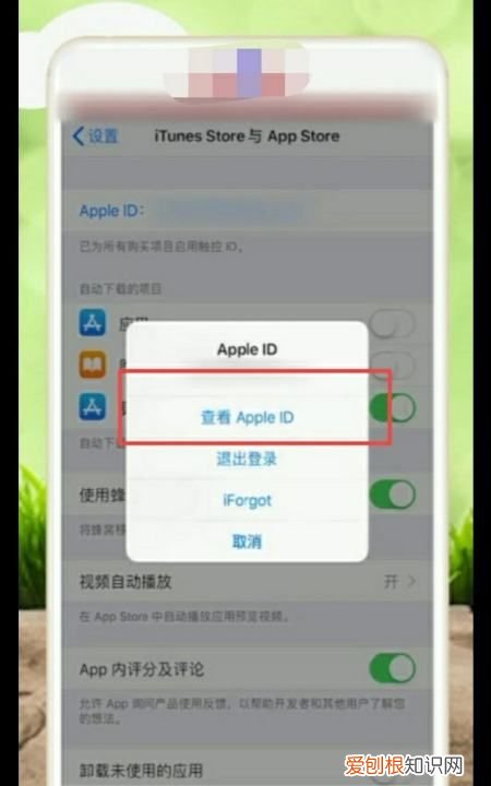 苹果手机appstop怎么设置中文