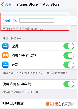 苹果手机appstop怎么设置中文