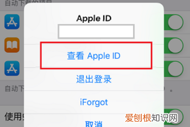 苹果手机appstop怎么设置中文